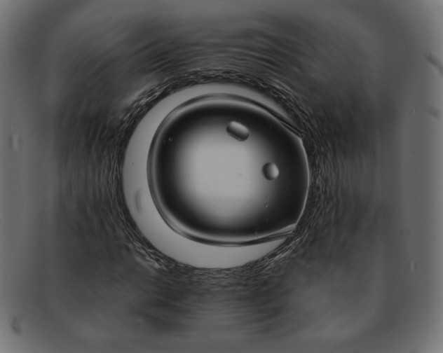 X0000091851014200709191052