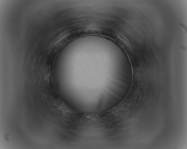 X0000091851015200709191052