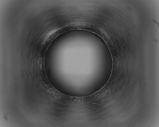 X0000091851016200709191052