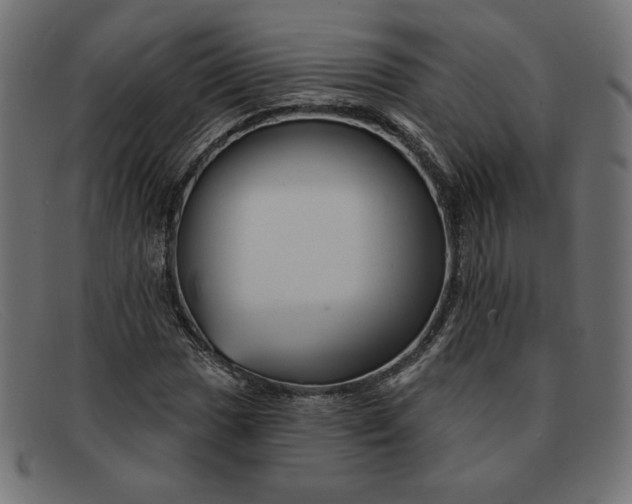X0000091851017200709191052