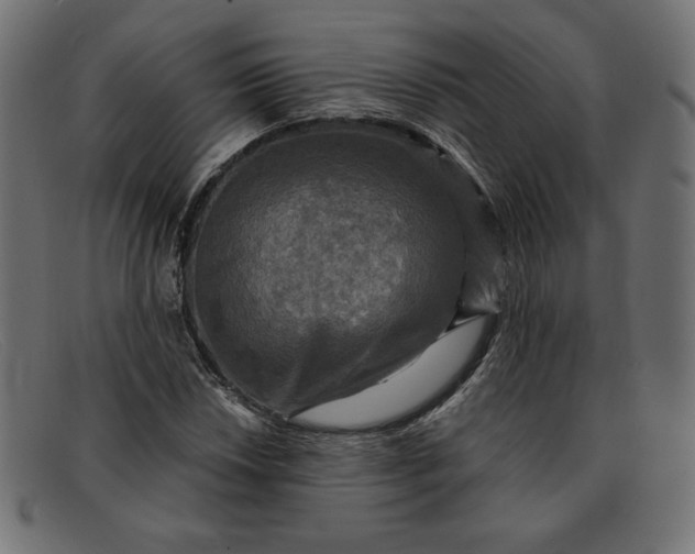 X0000091851018200709191052