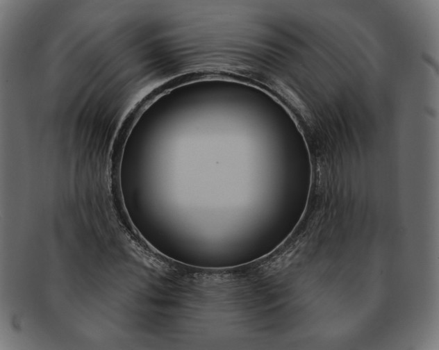 X0000091851020200709191052