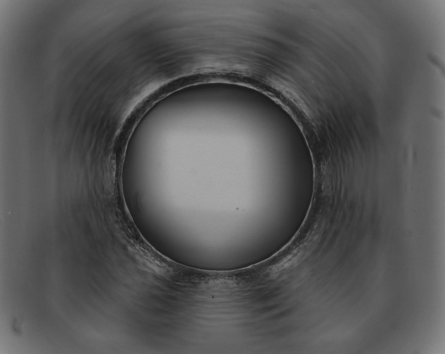 X0000091851021200709191052