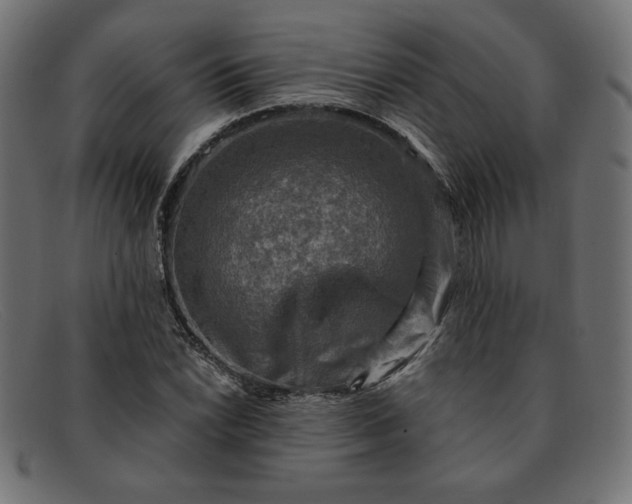 X0000091851022200709191052