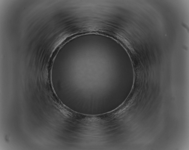 X0000091851023200709191052
