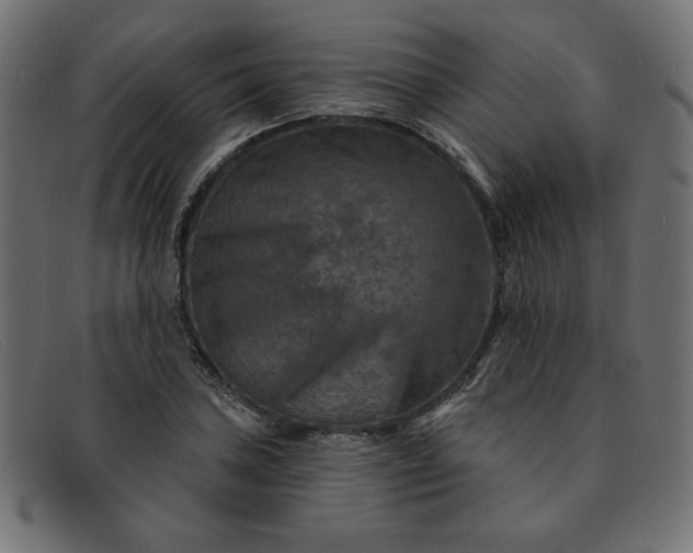 X0000091851027200709191052