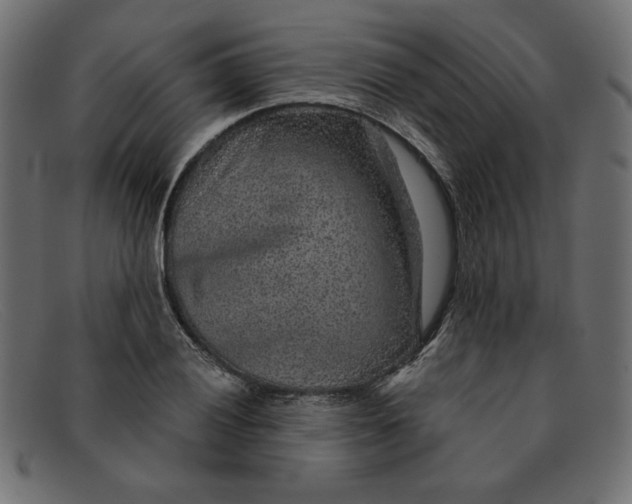 X0000091851028200709191052