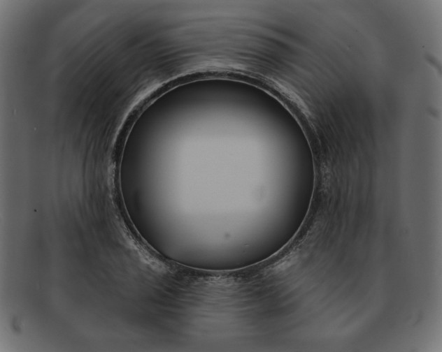 X0000091851029200709191052