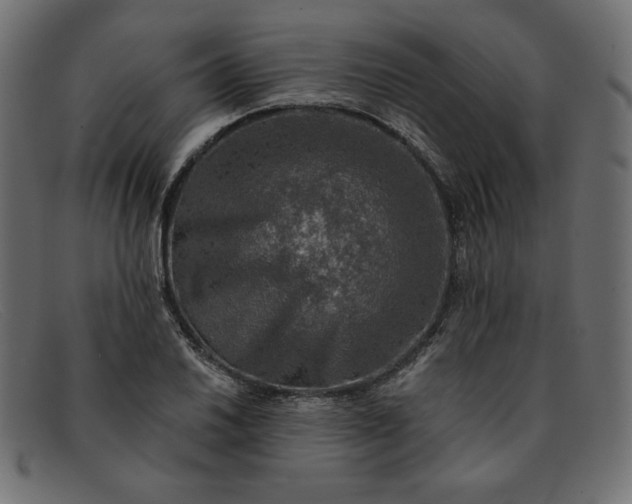 X0000091851030200709191052