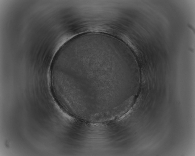 X0000091851032200709191052