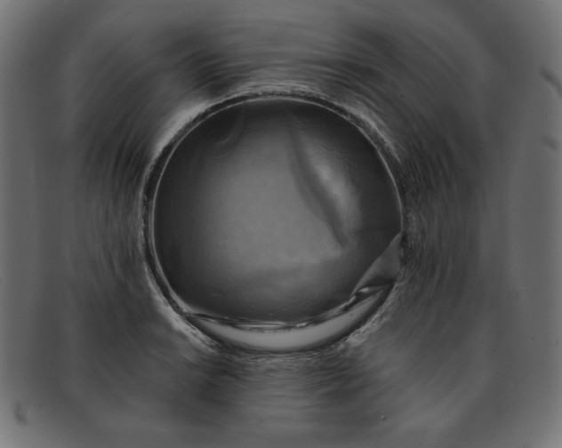 X0000091851038200709191052