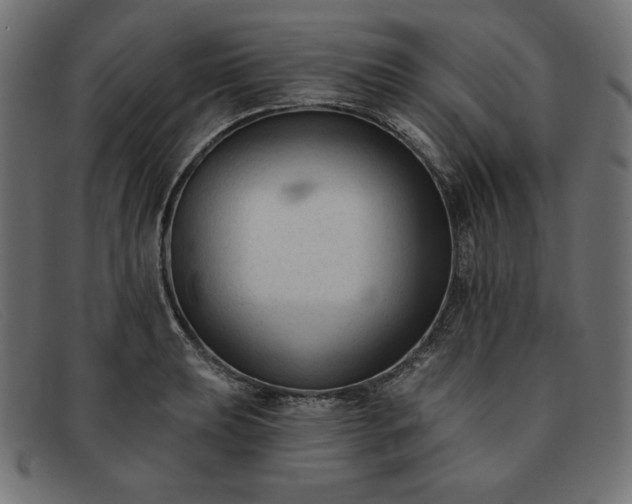 X0000091851039200709191052