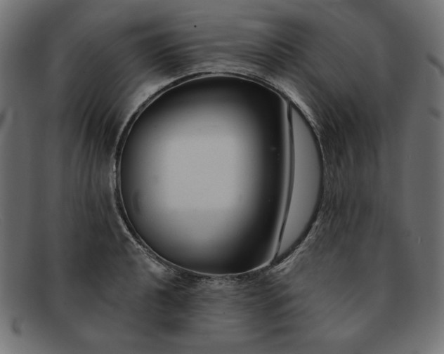 X0000091851040200709191052