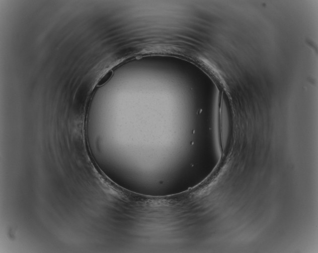 X0000091851041200709191052