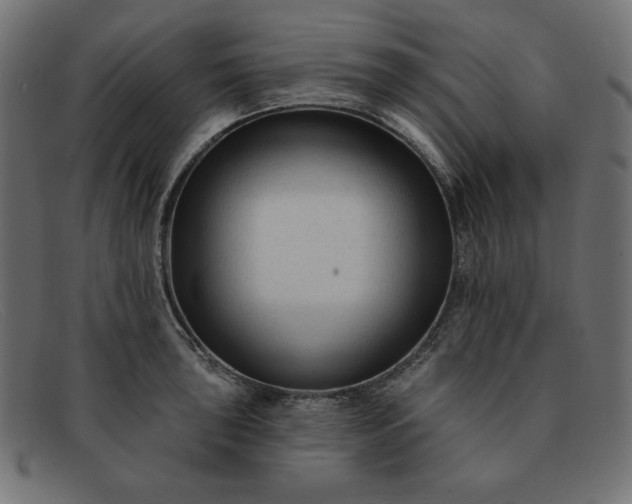 X0000091851043200709191052