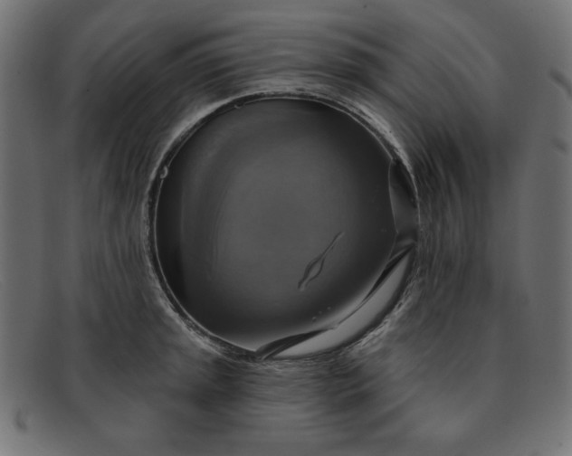 X0000091851045200709191052
