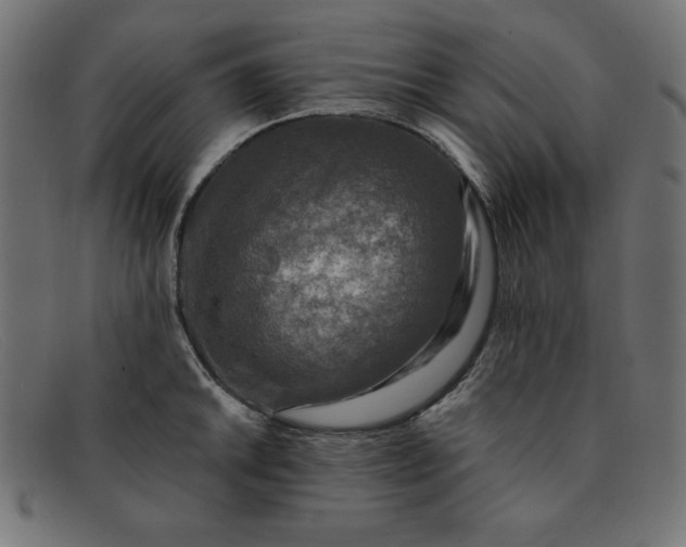 X0000091851046200709191052