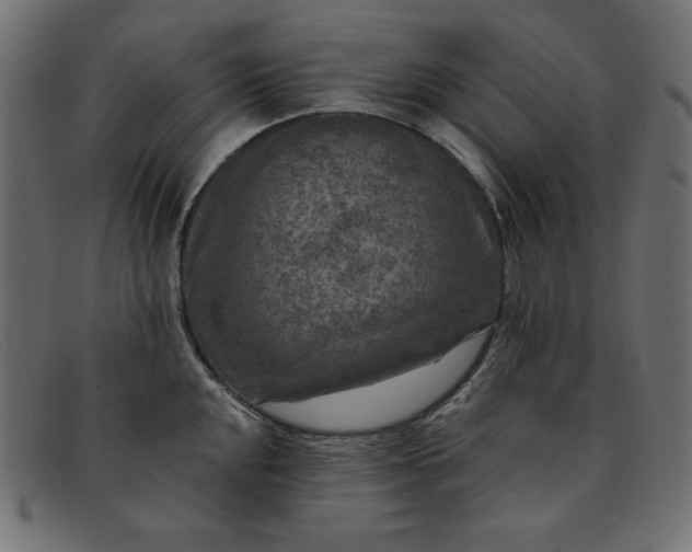 X0000091851048200709191052