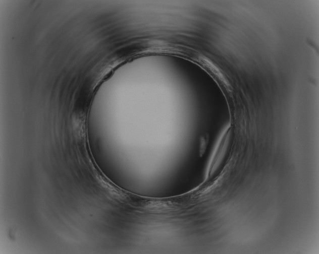 X0000091851049200709191052