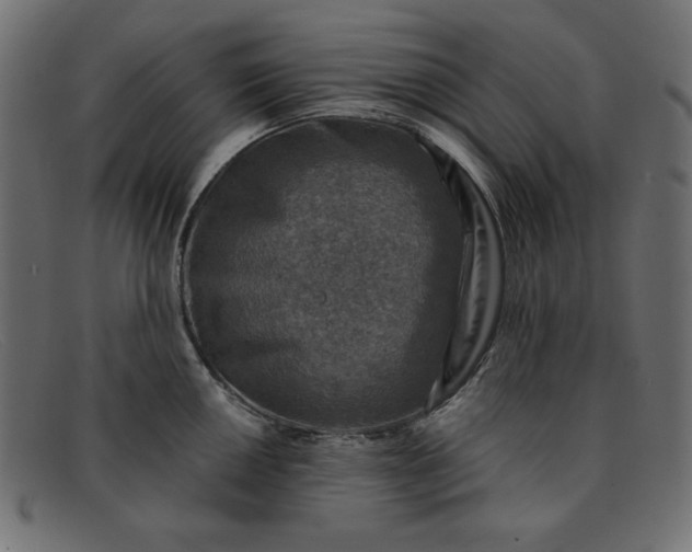 X0000091851050200709191052