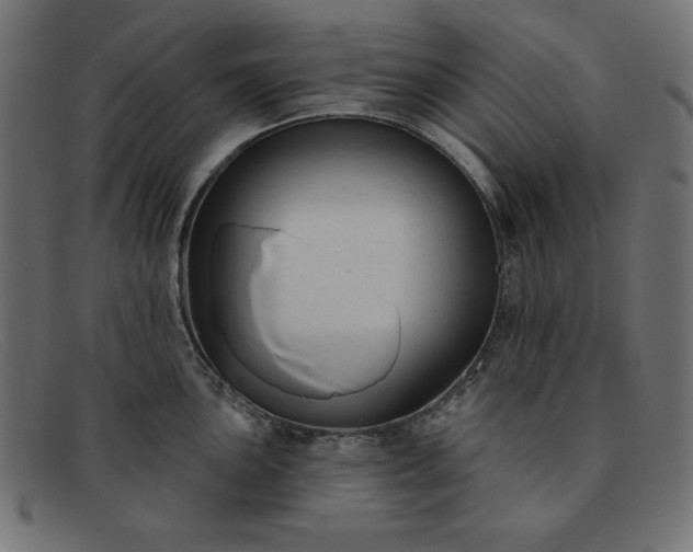 X0000091851051200709191052
