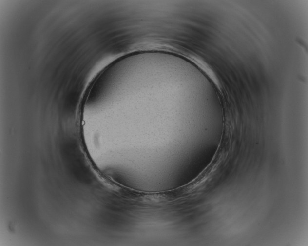 X0000091851053200709191052