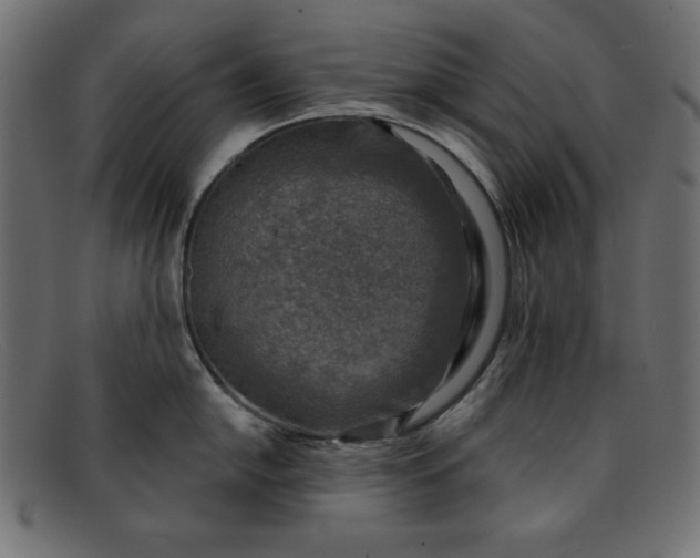 X0000091851054200709191052