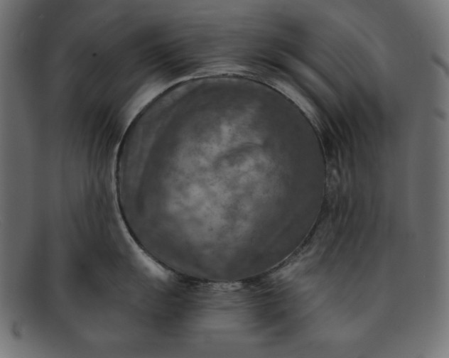 X0000091851055200709191052
