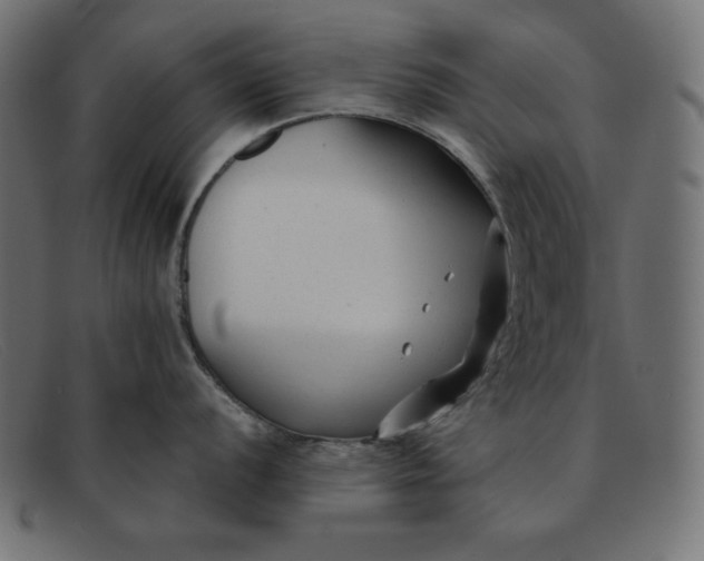 X0000091851056200709191052