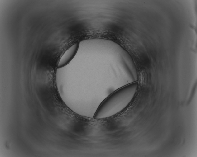 X0000091851059200709191051