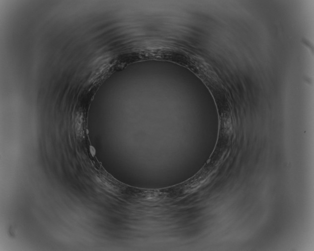 X0000091851060200709191051