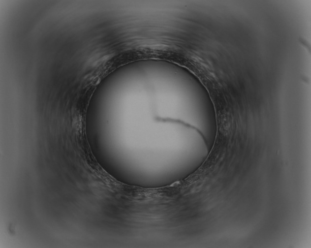X0000091851061200709191051