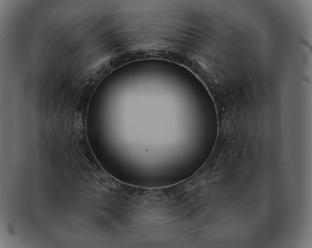 X0000091851062200709191051