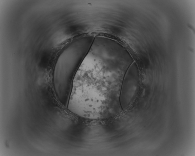 X0000091851063200709191051