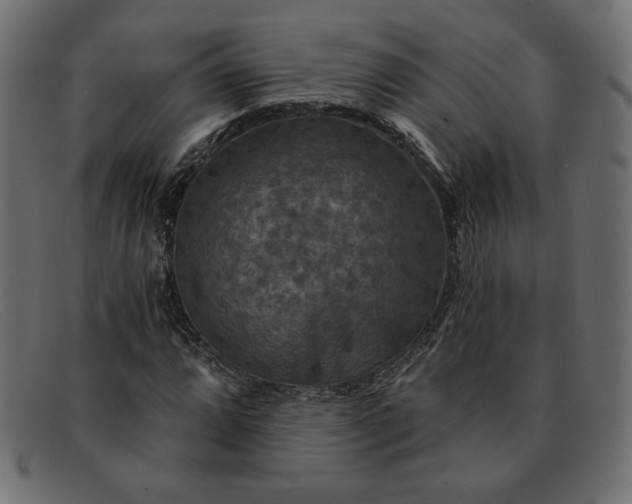 X0000091851064200709191051
