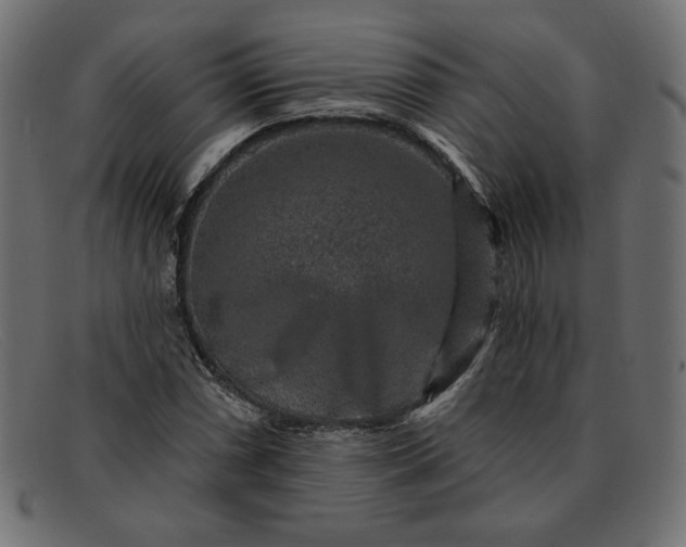 X0000091851066200709191051