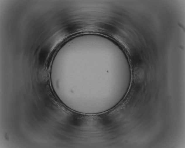 X0000091851067200709191051