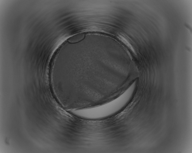 X0000091851068200709191051