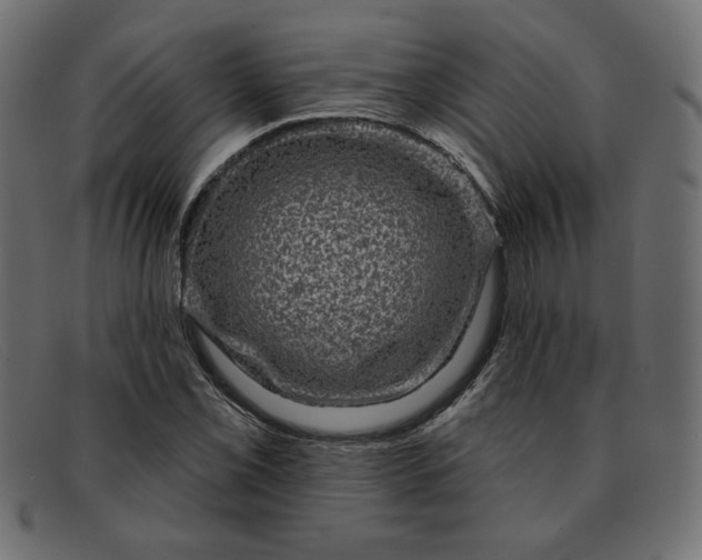 X0000091851069200709191051