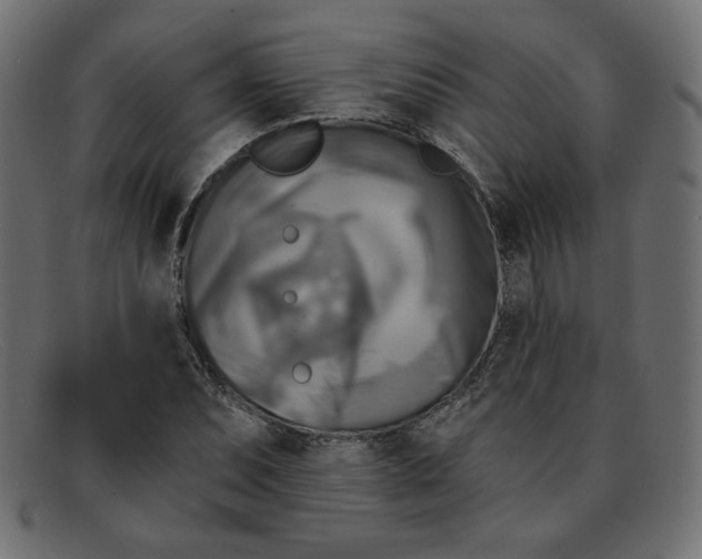 X0000091851071200709191051