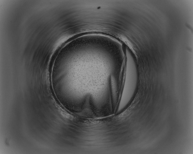 X0000091851072200709191051