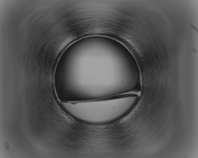 X0000091851073200709191051