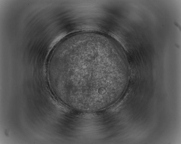 X0000091851074200709191051