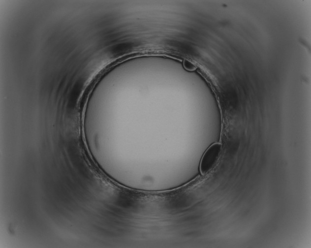 X0000091851075200709191051