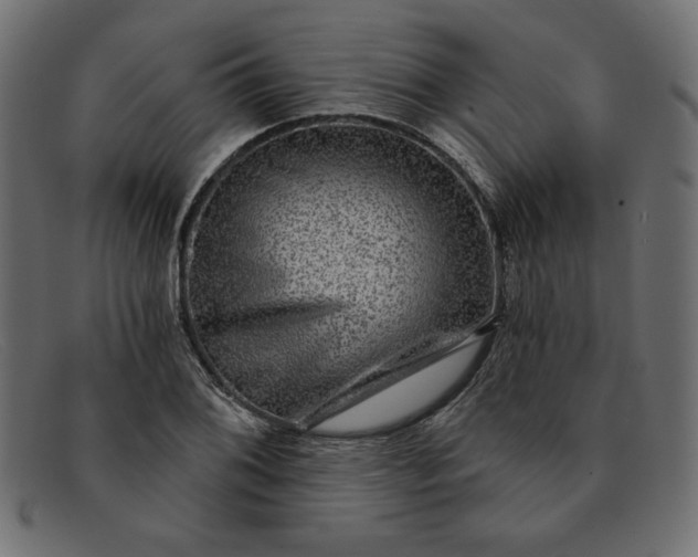 X0000091851076200709191051