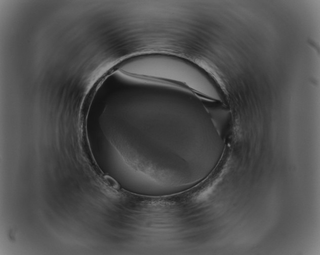 X0000091851077200709191051