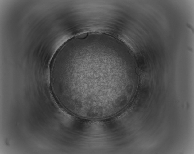 X0000091851079200709191051