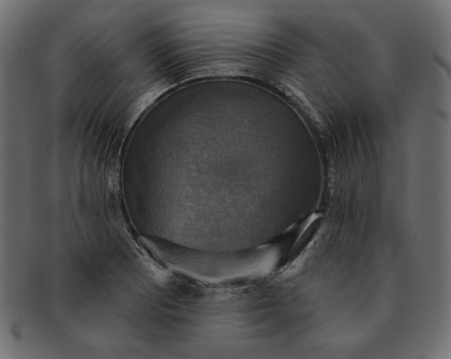 X0000091851081200709191051