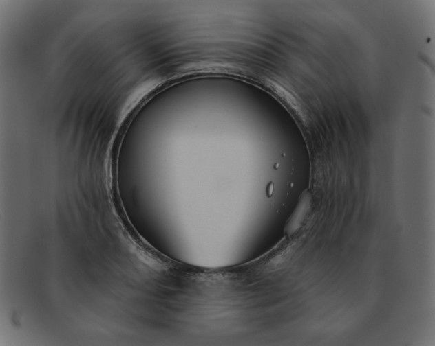 X0000091851082200709191051