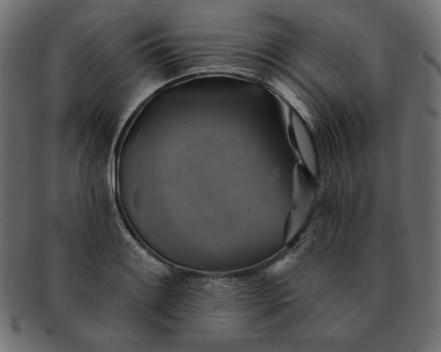 X0000091851084200709191051
